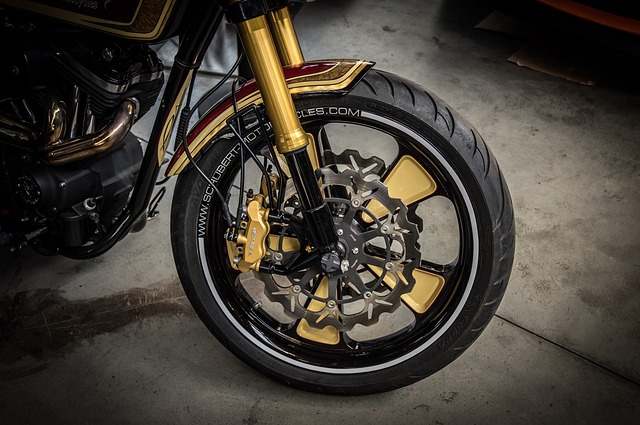 Motorcycle front wheel and front fork