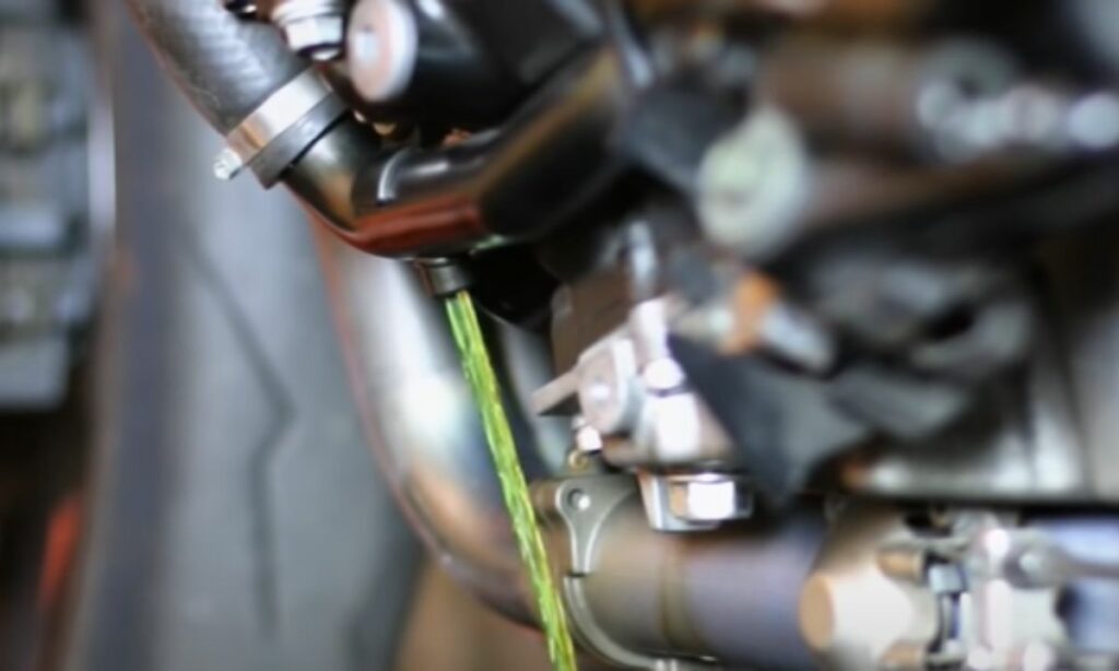 Coolant being drained from a motorcycle